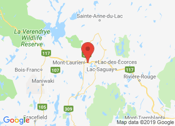 Google Map pour l'emplacement du concessionnaire
